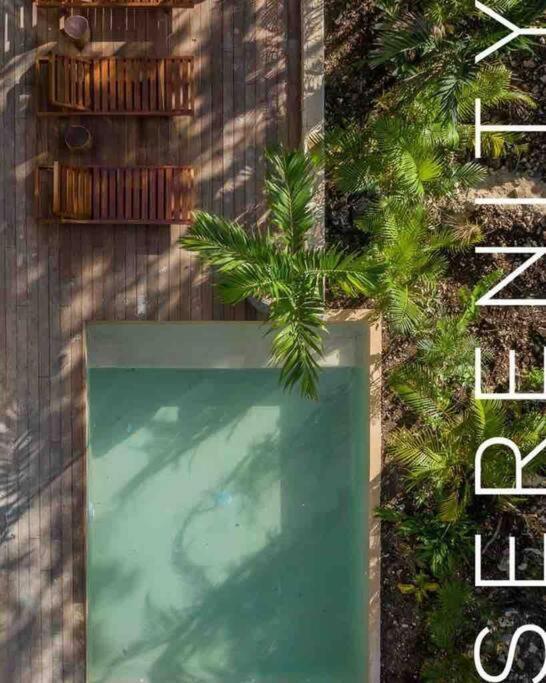 Villa Xuncari In The Heart Of The Jungle تولوم المظهر الخارجي الصورة