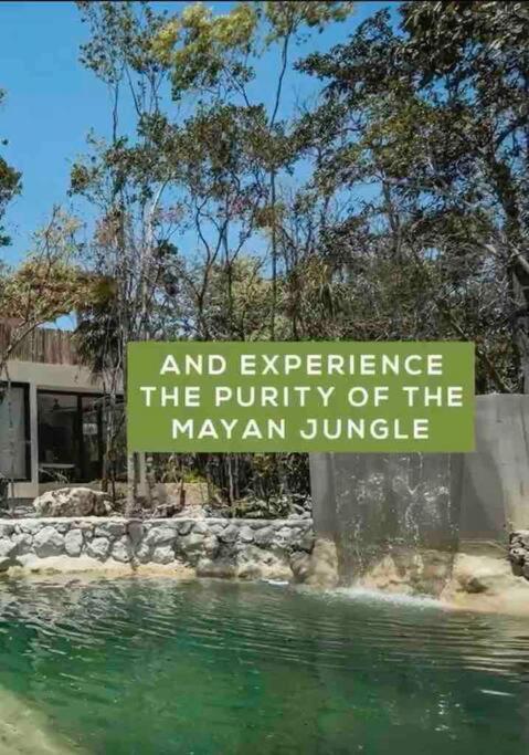Villa Xuncari In The Heart Of The Jungle تولوم المظهر الخارجي الصورة